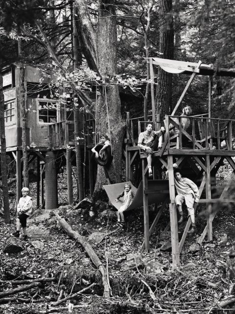 children playing in a tree fort